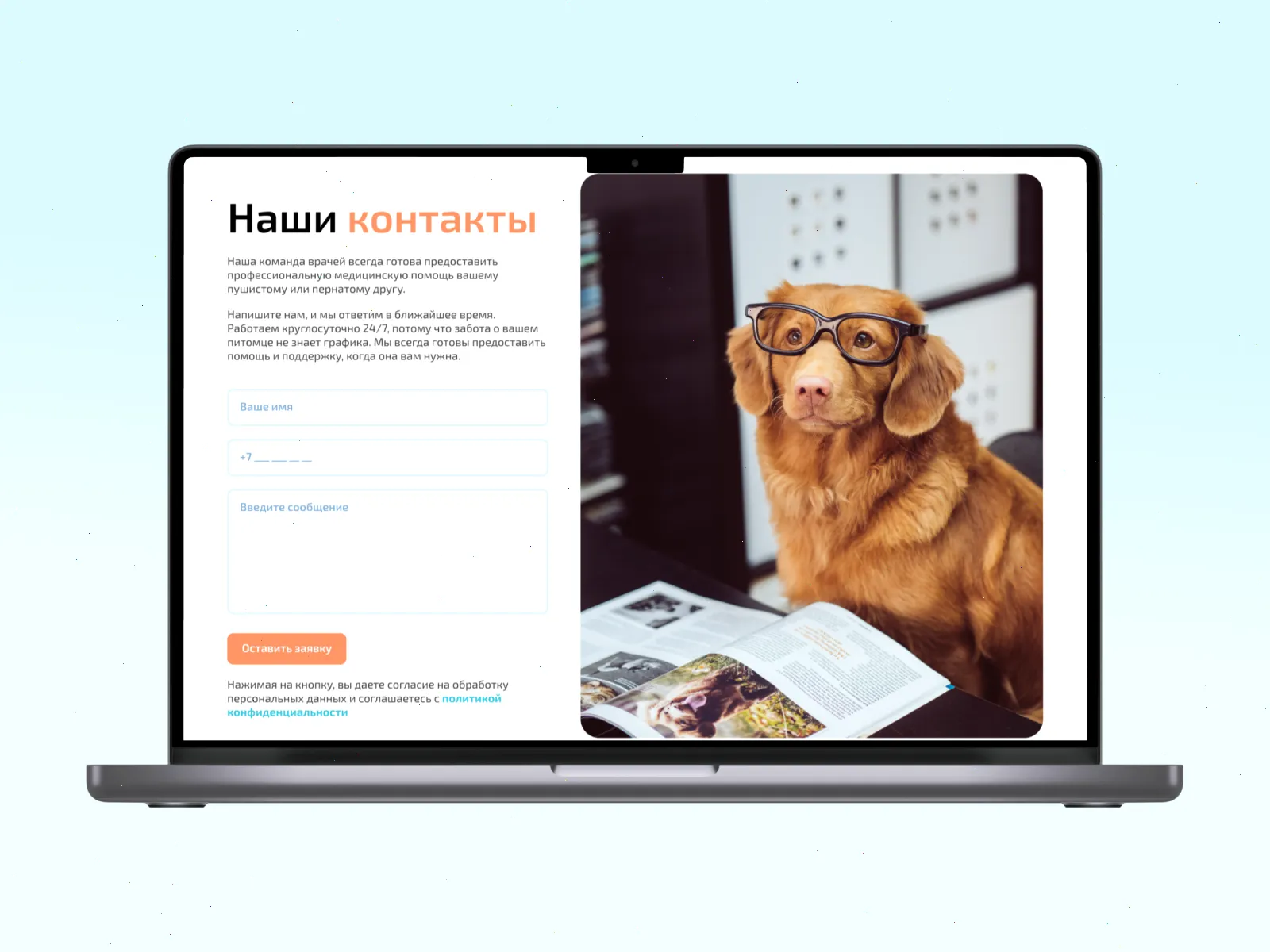 Процесс создания сайта для ветеринарной клиники